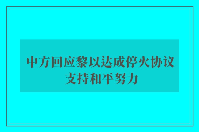 中方回应黎以达成停火协议 支持和平努力